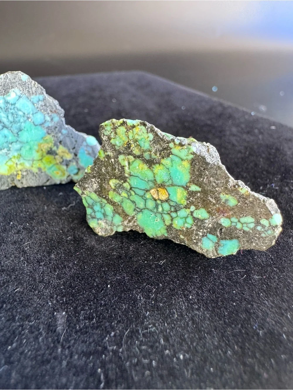 Blue Moon Turquoise-NV (3 pc)